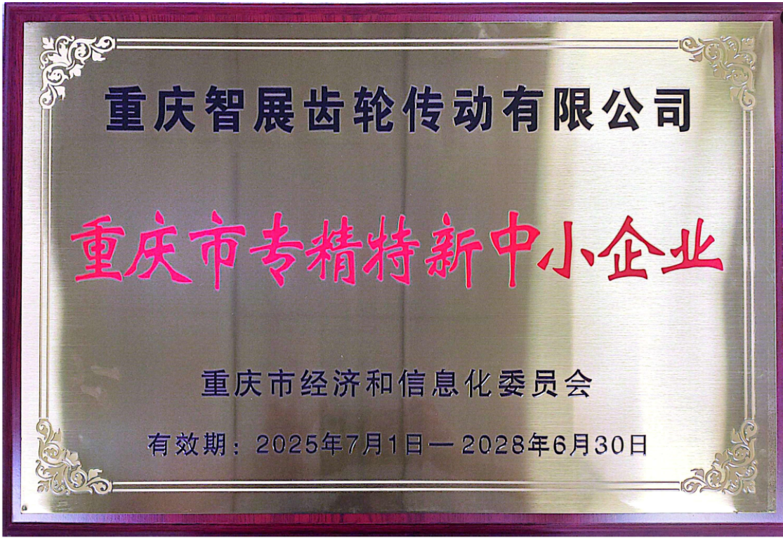 Chongqing Specialized, Refined, Characteristic, and Innovative Small and Medium-sized Enterprises